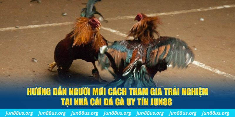 no hu loi game dot kich ket noi may chu that bai