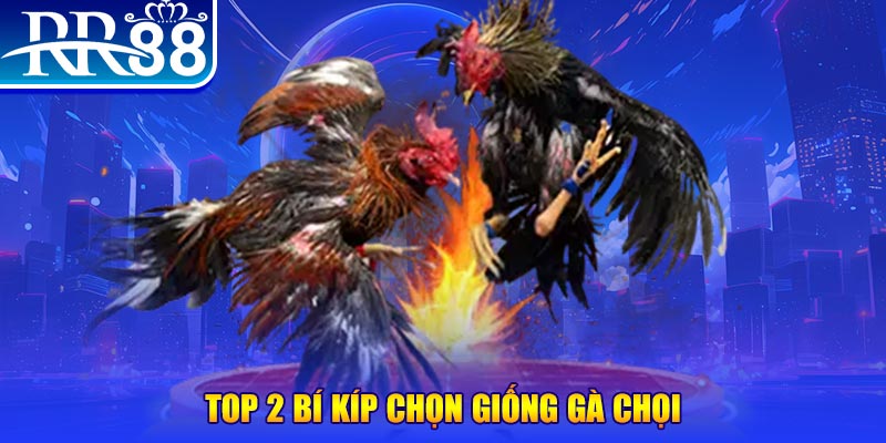 no hu máy thu cước bắn cá