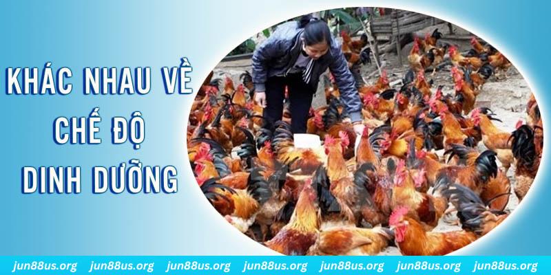 no hu xổ số miền nam thứ năm hàng tuần