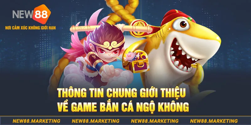 no hu gà chọi c1