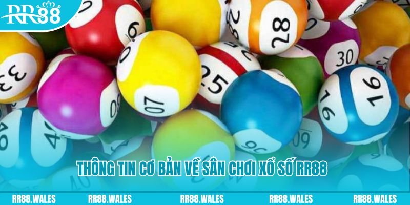 no hu đá gà hôm nay