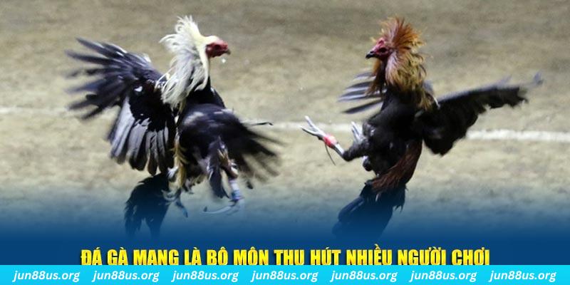 no hu đăng nhập lô đề hàng đầu