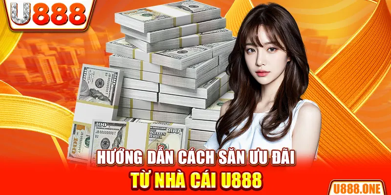 no hu hòn gà chọi