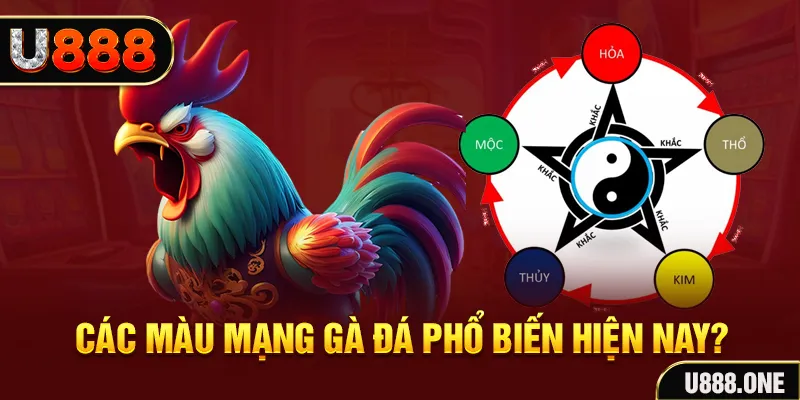 no hu FTG Điện Tử