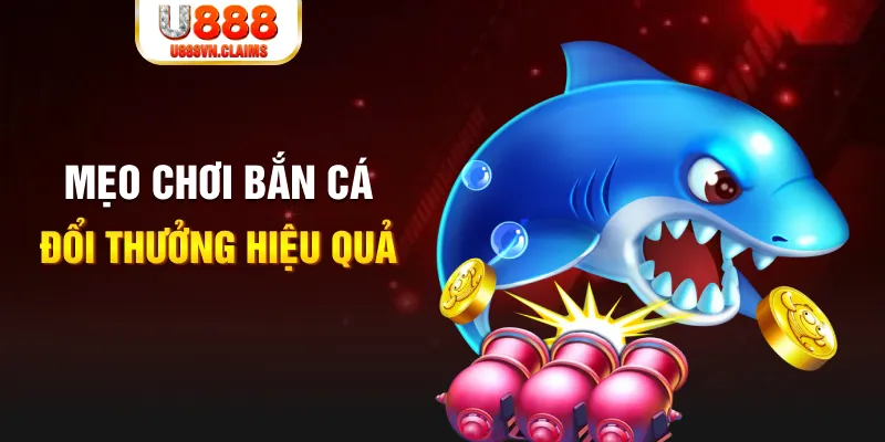 no hu baccarat có hợp pháp không