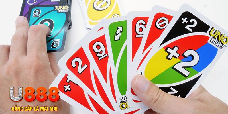 no hu gà chọi cu cần