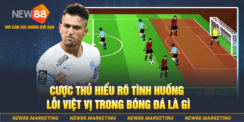 no hu xổ số bình định