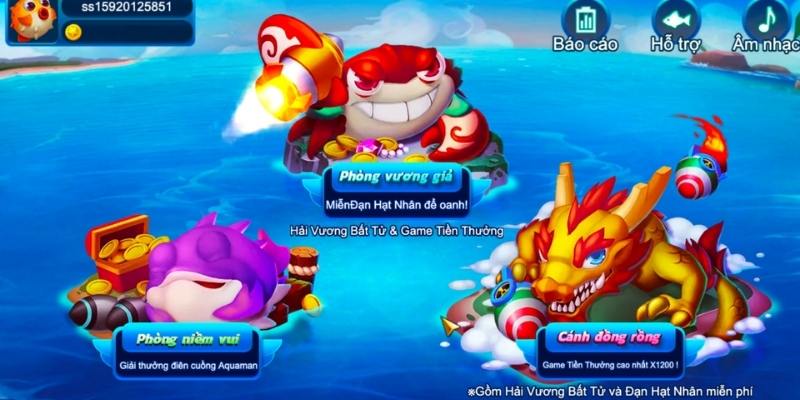 no hu baccarat là bài gì