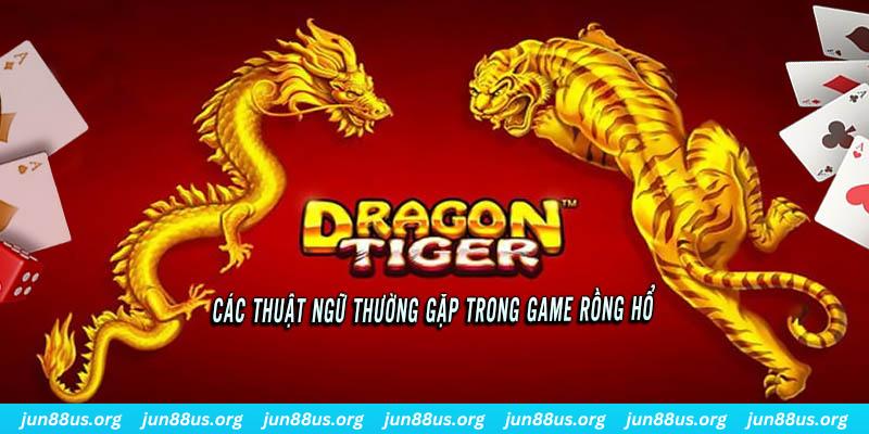 no hu ÁT CHỦ BÀI ĐẤU ĐỊA CHỦ