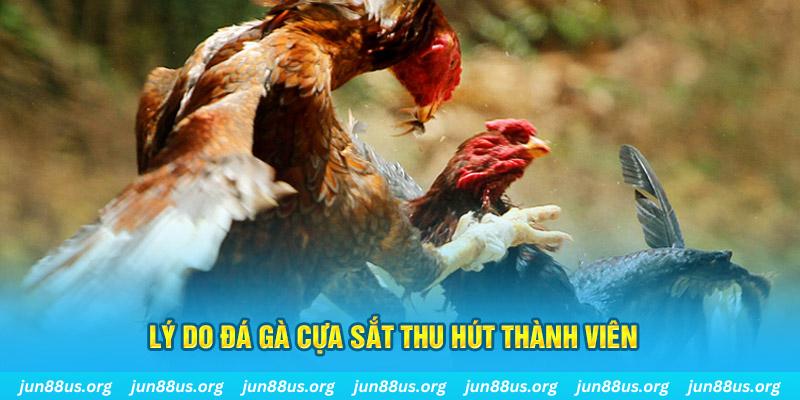 no hu chiếm slot là gì