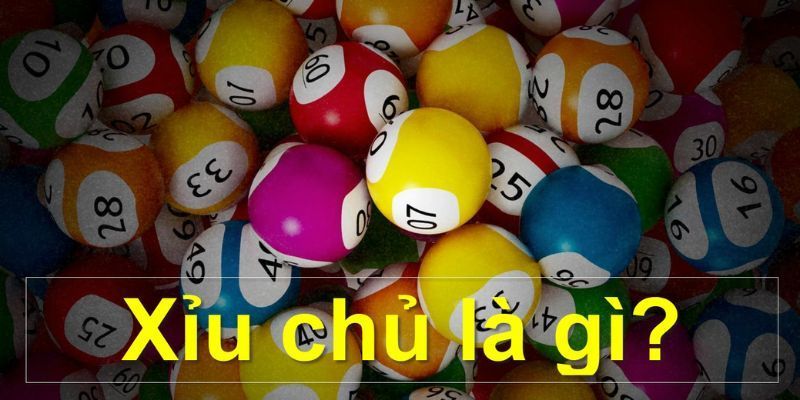 no hu Chọn họ Poker