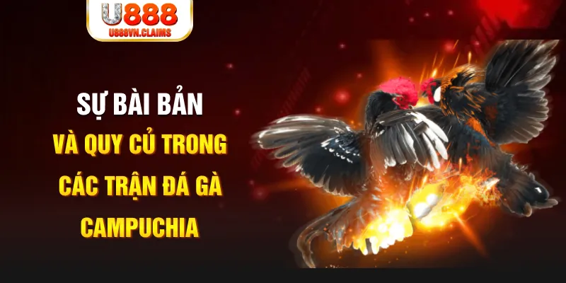 no hu PG Điện Tử