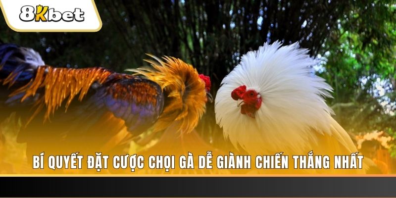 no hu xổ số thứ hai hàng tuần