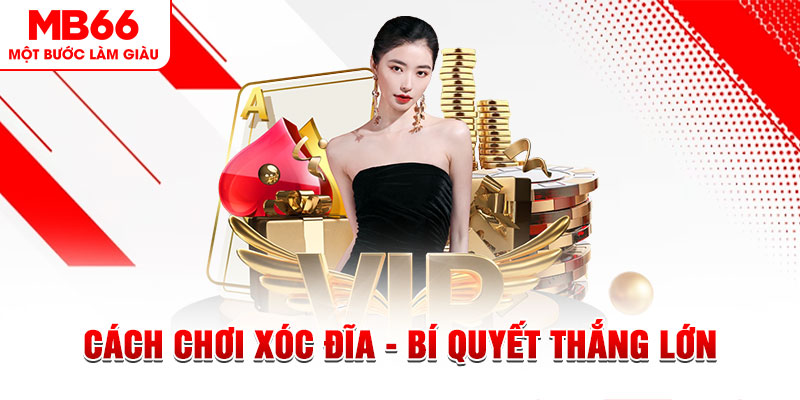 no hu trực tiếp đá gà c1 hôm nay
