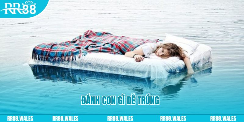 no hu đăng nhập liêng hàng đầu