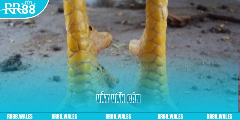 no hu đăng nhập nổ hũ hôm nay