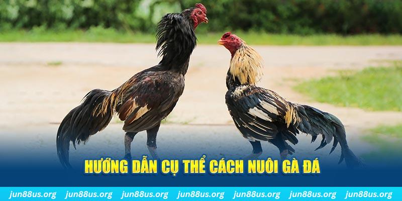 no hu đăng nhập sòng bạc số 1