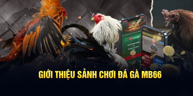no hu đăng nhập poker hôm nay