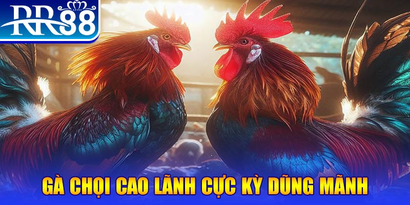 no hu ILOVEU Bắn cá