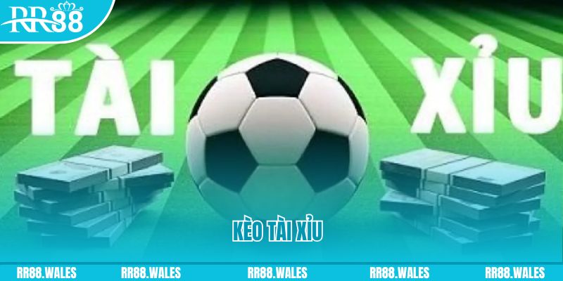 no hu gà chọi hoà phong